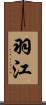 羽江 Scroll