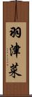 羽津菜 Scroll