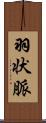 羽状脈 Scroll