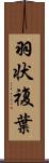 羽状複葉 Scroll