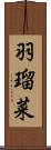 羽瑠菜 Scroll