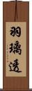 羽璃透 Scroll