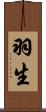 羽生 Scroll