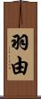 羽由 Scroll