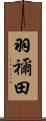 羽禰田 Scroll