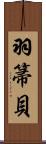 羽箒貝 Scroll