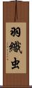 羽織虫 Scroll