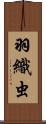 羽織虫 Scroll