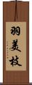 羽美枝 Scroll