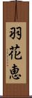 羽花恵 Scroll
