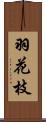 羽花枝 Scroll