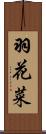 羽花菜 Scroll