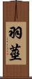 羽莖 Scroll
