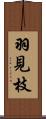 羽見枝 Scroll