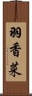 羽香菜 Scroll