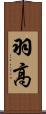 羽高 Scroll