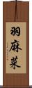 羽麻菜 Scroll