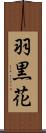 羽黒花 Scroll