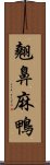 翹鼻麻鴨 Scroll