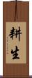 耕生 Scroll