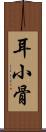 耳小骨 Scroll