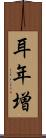 耳年増 Scroll
