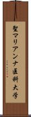 聖マリアンナ医科大学 Scroll