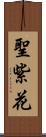 聖紫花 Scroll