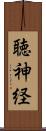 聴神経 Scroll