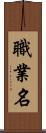 職業名 Scroll