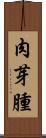 肉芽腫 Scroll