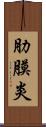肋膜炎 Scroll