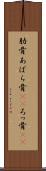 肋骨 Scroll