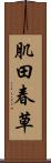 肌田春草 Scroll