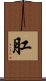 肛 Scroll