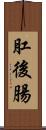 肛後腸 Scroll