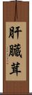肝臓茸 Scroll