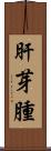 肝芽腫 Scroll