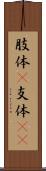 肢体(P) Scroll