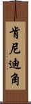 肯尼迪角 Scroll