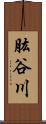 肱谷川 Scroll