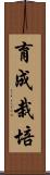 育成栽培 Scroll