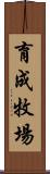 育成牧場 Scroll