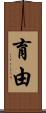 育由 Scroll