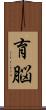 育脳 Scroll