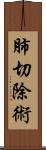 肺切除術 Scroll
