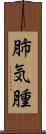 肺気腫 Scroll