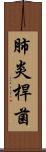 肺炎桿菌 Scroll