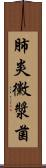 肺炎黴漿菌 Scroll