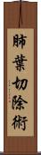 肺葉切除術 Scroll